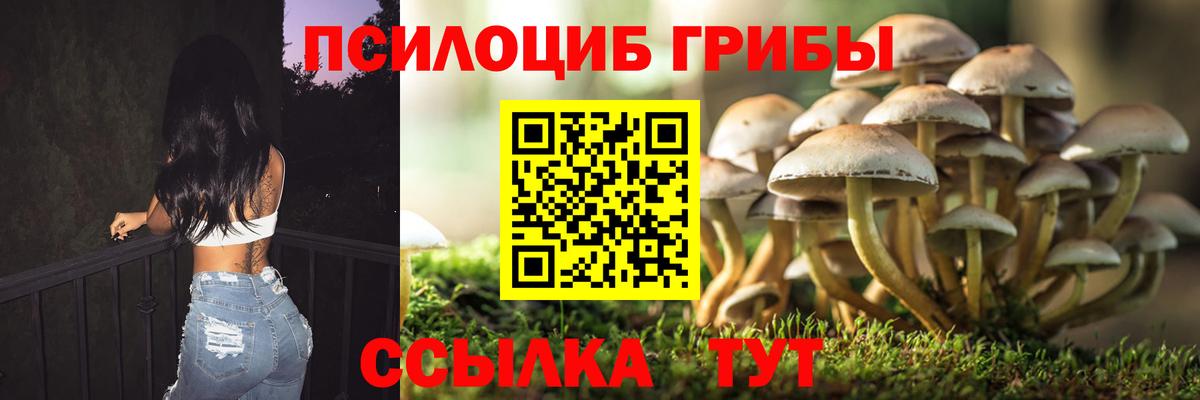 Псилоцибиновые грибы ЛСД  Вход с VPN  Моздок 
